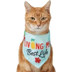 Frisco Living My Best Life Dog & Cat Bandana -Cat Products Store 312288 PT2. AC SS1800 V1644884916