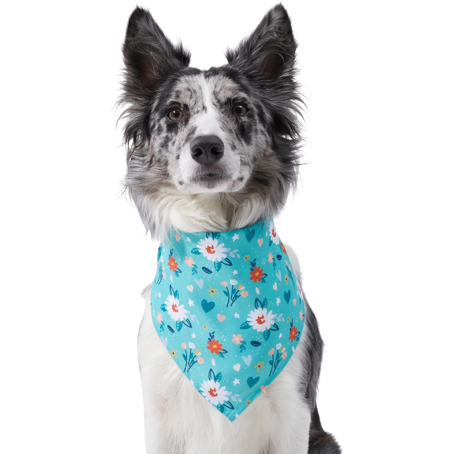 Frisco Spring Floral Dog & Cat Bandana 3 Frisco Spring Floral Dog & Cat Bandana