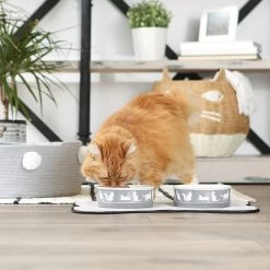 Bone Dry Meow Set Cat Bowl -Cat Products Store 313413 PT4. AC SS1800 V1631774783