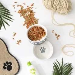 Bone Dry Meow Set Cat Bowl -Cat Products Store 313413 PT6. AC SS1800 V1631764117