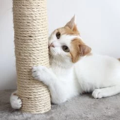 Pet Adobe 19.25-in Polyester Cat Scratching Post With Toys -Cat Products Store 314975 PT4. AC SS1800 V1626390375