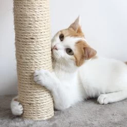 Pet Adobe 3-Tier 27.5-in Cat Tree & Condo -Cat Products Store 314981 PT4. AC SS1800 V1626399083