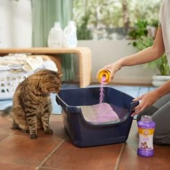 ARM & HAMMER PRODUCTS Calming Lavender & Vanilla Scent Cat Litter Box Deodorizing Crystals 11 ARM & HAMMER PRODUCTS Calming Lavender & Vanilla Scent Cat Litter Box Deodorizing Crystals -Cat Products Store 315802 PT4. AC SS1800 V1680789562