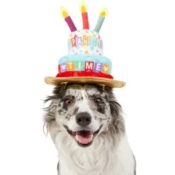 Disney Mickey Mouse Birthday Dog & Cat Hat -Cat Products Store 316077 PT2. AC SS1800 V1646176394