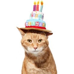 Disney Mickey Mouse Birthday Dog & Cat Hat -Cat Products Store 316077 PT3. AC SS1800 V1646181348
