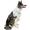 Disney Winnie The Pooh Birthday Dog & Cat Bandana 2 Disney Winnie The Pooh Birthday Dog & Cat Bandana -Cat Products Store 316080 MAIN. AC SS1800 V1646176432