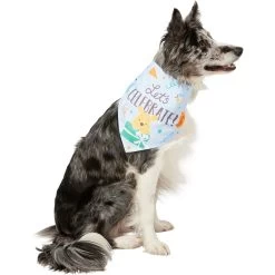 Disney Winnie The Pooh Birthday Dog & Cat Bandana