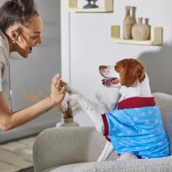 Disney Mickey Mouse Americana Dog & Cat Polo -Cat Products Store 316084 PT8. AC SS1800 V1646176970