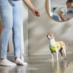 STAR WARS THE MANDALORIAN GROGU Lightweight Dog & Cat Fleece Vest -Cat Products Store 316119 PT8. AC SS1800 V1646179025