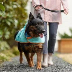 Pixar Finding Nemo Lightweight "Make A Splash" Dog & Cat Packable Raincoat -Cat Products Store 316506 PT8. AC SS1800 V1646180597