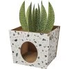 Frisco Potted Succulent Cardboard Cat House -Cat Products Store 317723 MAIN. AC SS1800 V1688677259