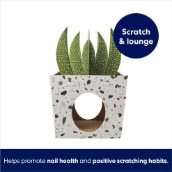 Frisco Potted Succulent Cardboard Cat House -Cat Products Store 317723 PT2. AC SS1800 V1689342085