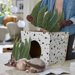 Frisco Potted Succulent Cardboard Cat House -Cat Products Store 317723 PT3. AC SS1800 V1688677248