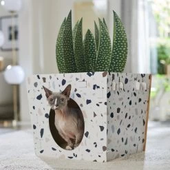 Frisco Potted Succulent Cardboard Cat House -Cat Products Store 317723 PT4. AC SS1800 V1688677260
