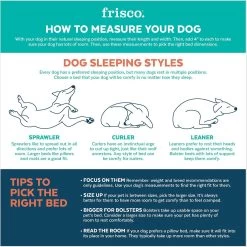 Frisco Cat Donut Bed -Cat Products Store 333854 PT3. AC SS1800 V1658718001