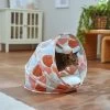 Frisco Foldable Canopy Cat Bed -Cat Products Store 333866 MAIN. AC SS1800 V1658716901
