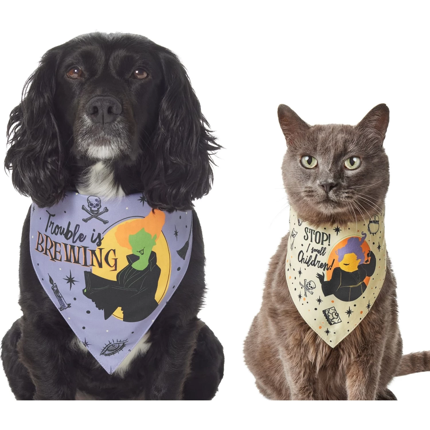 Disney Hocus Pocus Reversible Dog & Cat Bandana 3 Disney Hocus Pocus Reversible Dog & Cat Bandana