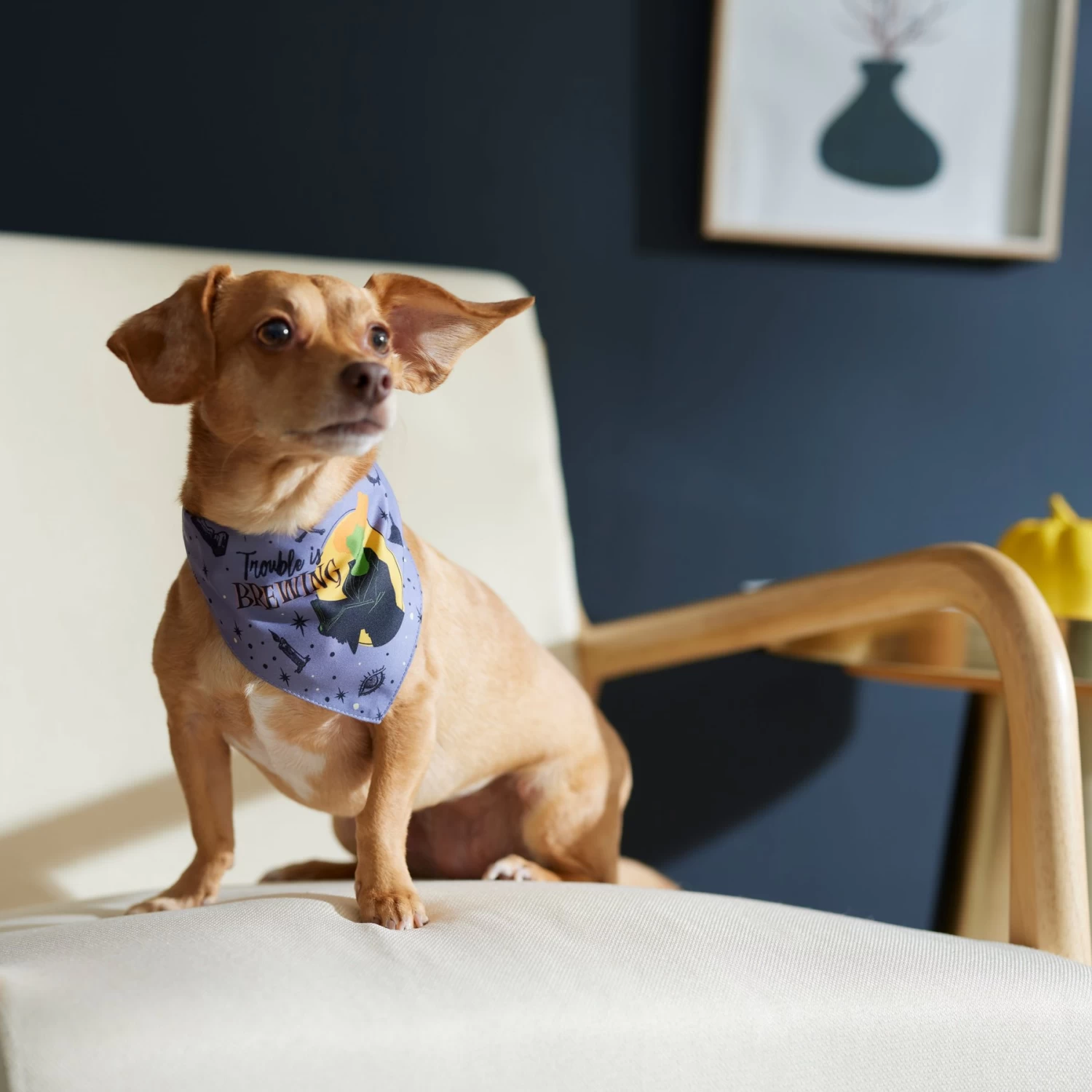 Disney Hocus Pocus Reversible Dog & Cat Bandana 8 Disney Hocus Pocus Reversible Dog & Cat Bandana - Image 6