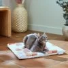 Frisco Reversible Square Cat Pad, Calico Cat -Cat Products Store 336834 MAIN. AC SS1800 V1658461724