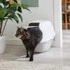 Frisco Modern Hooded Cat Litter Box 1 Frisco Modern Hooded Cat Litter Box -Cat Products Store 341985 MAIN. AC SS1800 V1642605052