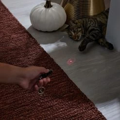 Frisco Halloween Skull Laser Cat Toy -Cat Products Store 344068 PT3. AC SS1800 V1659279988