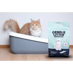 Alpha Paw Genius Litter With Health Indicator Cat Litter, 6-lbs 13 Alpha Paw Genius Litter With Health Indicator Cat Litter, 6-lbs -Cat Products Store 344555 PT3. AC SS1800 V1667332411