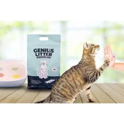 Alpha Paw Genius Litter With Health Indicator Cat Litter, 6-lbs 16 Alpha Paw Genius Litter With Health Indicator Cat Litter, 6-lbs -Cat Products Store 344555 PT7. AC SS1800 V1667331826