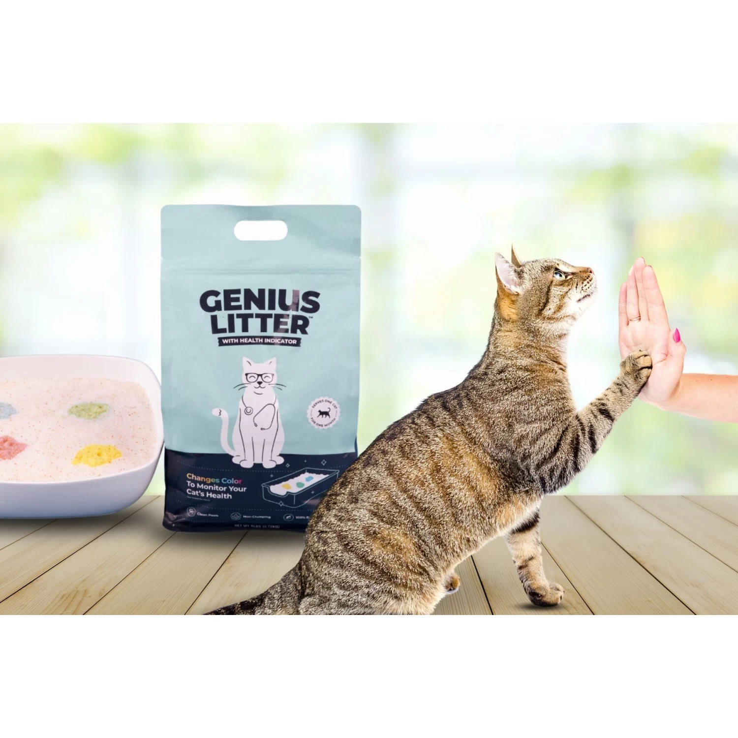 Alpha Paw Genius Litter With Health Indicator Cat Litter, 6-lbs 9 Alpha Paw Genius Litter With Health Indicator Cat Litter, 6-lbs - Image 7
