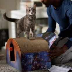 Pixar Coco Marigold Bridge Scratcher Cat Toy -Cat Products Store 344557 PT3. AC SS1800 V1689878513