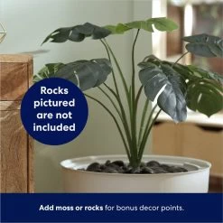 Frisco Hidden Planter Cat Litter Box, 16-in -Cat Products Store 345566 PT4. AC SS1800 V1668737273