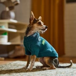 Frisco Teal Button Down Dog & Cat Sweater -Cat Products Store 353580 PT7. AC SS1800 V1660749932