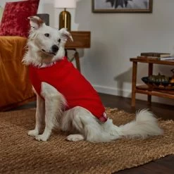 Frisco Plaid Cable Knit Dog & Cat Sweater -Cat Products Store 353611 PT7. AC SS1800 V1660749926