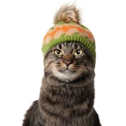 Frisco Striped Poof Dog & Cat Knitted Hat 11 Frisco Striped Poof Dog & Cat Knitted Hat -Cat Products Store 353793 PT3. AC SS1800 V1659011014