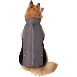 Frisco Mediumweight Faux Zipper Dog & Cat Jacket 12 Frisco Mediumweight Faux Zipper Dog & Cat Jacket -Cat Products Store 353817 PT2. AC SS1800 V1659010334