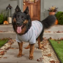 Frisco Pink Tie Dye Dog & Cat Hoodie -Cat Products Store 353981 PT7. AC SS1800 V1660749835