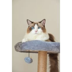 Catry 42.1-in Oak 7-Level Cat Tree With Jute Scratching Posts & Cozy Hammock -Cat Products Store 354549 PT3. AC SS1800 V1640317313