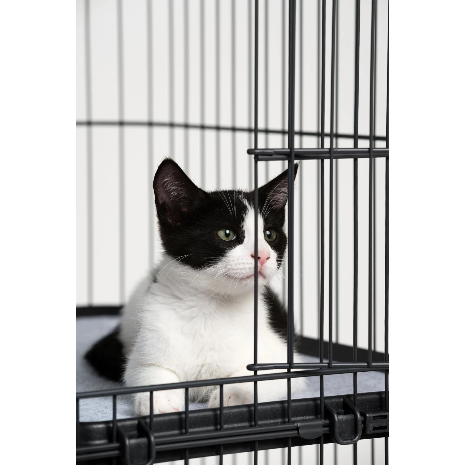 Prevue Pet Products Cat Cage Replacement Shelf 6 Prevue Pet Products Cat Cage Replacement Shelf - Image 4
