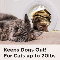 Purrfect Portal With Brush Interior Cat Door -Cat Products Store 355128 PT4. AC SS1800 V1642469783