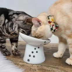 Necoichi Tilted Stress Free Raised Cat Food Bowl 16 Necoichi Tilted Stress Free Raised Cat Food Bowl -Cat Products Store 357117 PT6. AC SS1800 V1700515632