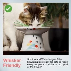 Necoichi Extra Wide Raised Cat Food Bowl 10 Necoichi Extra Wide Raised Cat Food Bowl -Cat Products Store 357119 PT2. AC SS1800 V1657657126