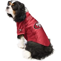 Littlearth NFL Stretch Dog & Cat Jersey, San Francisco 49ers -Cat Products Store 357290 PT2. AC SS1800 V1642026121