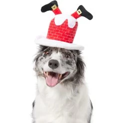 Frisco Down The Chimney Dog & Cat Headpiece -Cat Products Store 357934 PT2. AC SS1800 V1660756047