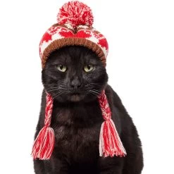 Frisco Reindeer Fair Isle Dog & Cat Pom Hat -Cat Products Store 358309 PT2. AC SS1800 V1660764825