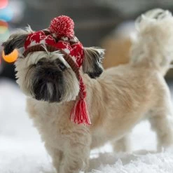 Frisco Reindeer Fair Isle Dog & Cat Pom Hat -Cat Products Store 358309 PT4. AC SS1800 V1661797821