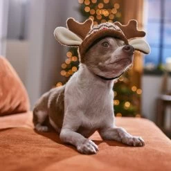 Frisco Antler Fair Isle Dog & Cat Hat -Cat Products Store 358313 PT4. AC SS1800 V1661798696