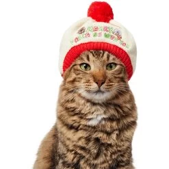 STAR WARS Knit Dog & Cat Hat -Cat Products Store 358443 PT2. AC SS1800 V1660703930