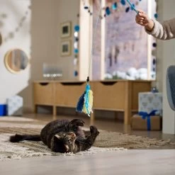 Frisco Hanukkah Interchangeable Teaser Wand Cat Toy With Catnip -Cat Products Store 360911 PT3. AC SS1800 V1661890134