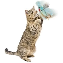 Petlinks Blue Beauty Lush Plush Catnip & Silvervine Bird & Feather Cat Toy, Blue, Small -Cat Products Store 362890 PT3. AC SS1800 V1642632423