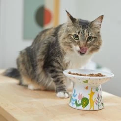 Frisco Cat Face Floral Wide Shape Elevated Non-Skid Ceramic Cat Bowl -Cat Products Store 363377 PT3. AC SS1800 V1657657267