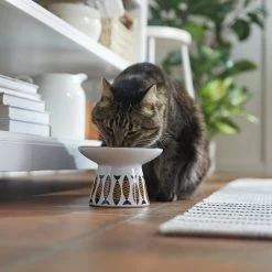 Frisco Cat Face Wide Shape Elevated Non-Skid Ceramic Cat Bowl -Cat Products Store 363381 PT3. AC SS1800 V1657657267